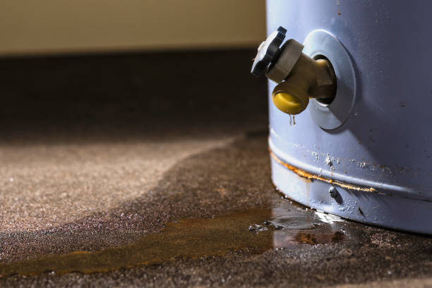 Best 24/7 water damage repair  in Jessup, MD