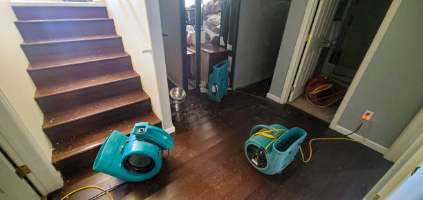 Best Water damage restoration near me  in Jessup, MD