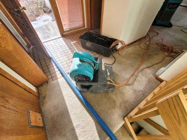 Best Basement water damage restoration  in Jessup, MD
