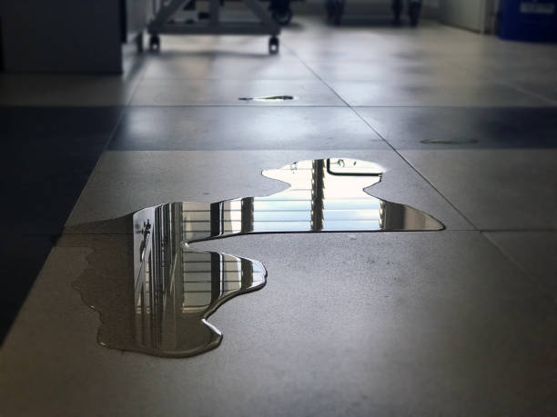 Best Water damage restoration near me  in Jessup, MD