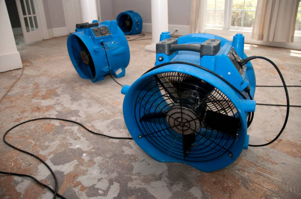 Best Residential water damage restoration  in Jessup, MD