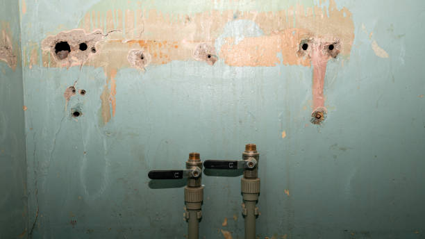 Best Flooded house restoration  in Jessup, MD