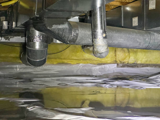 Best Water damage cleanup near me  in Jessup, MD