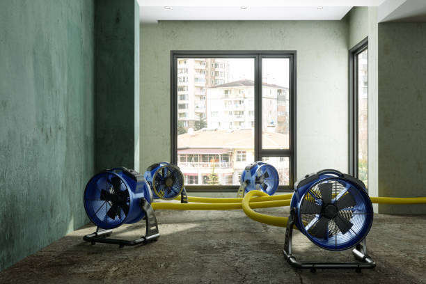 Best Water damage restoration mold remediation  in Jessup, MD