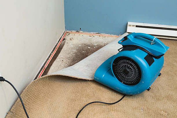 Best Emergency water damage restoration  in Jessup, MD